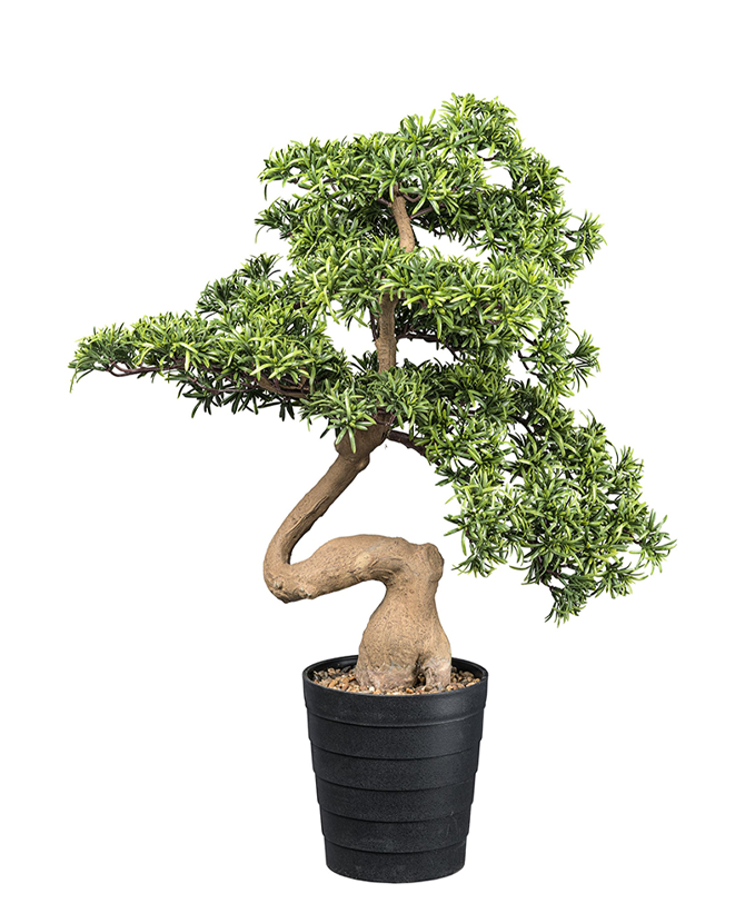 Mű kőfenyő bonsai fa, fekete színű műanyag cserépben.