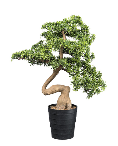 Mű kőfenyő bonsai fa, fekete színű műanyag cserépben.