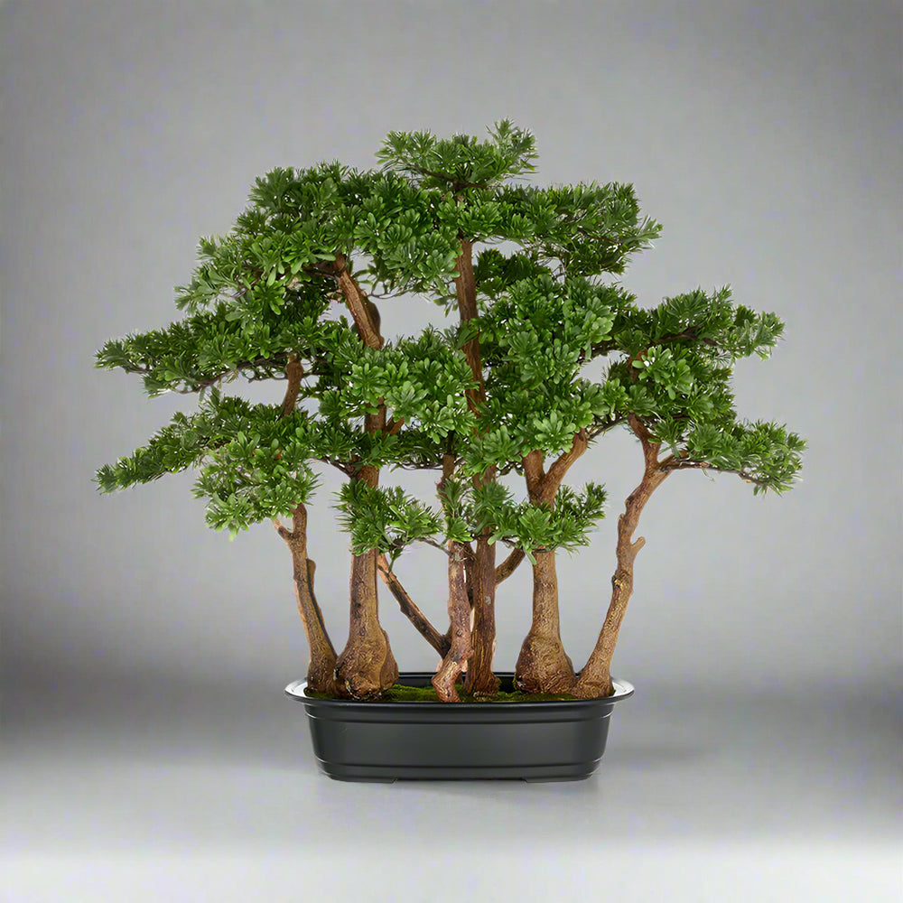 Zöld színű, mű tea bonsai fa, fekete színű műanyag cserépben.