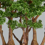 Zöld színű, mű tea bonsai fa, fekete színű műanyag cserépben.