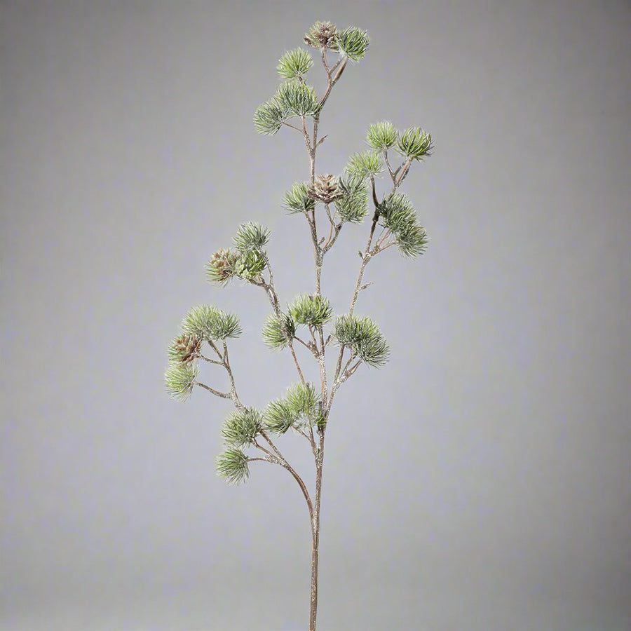 Ünnepi dekorációhoz ajánlott mű cédrusfenyő ág tobozokkal