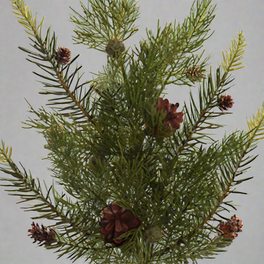 Közeli fotó a CEDRUS zöld mű cédrusfenyő ágról, természetes hatású zöld tűlevelekkel és apró barna tobozokkal.