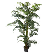 CHAMADOREA zöld mű mexikói bambuszpálma 180 cm