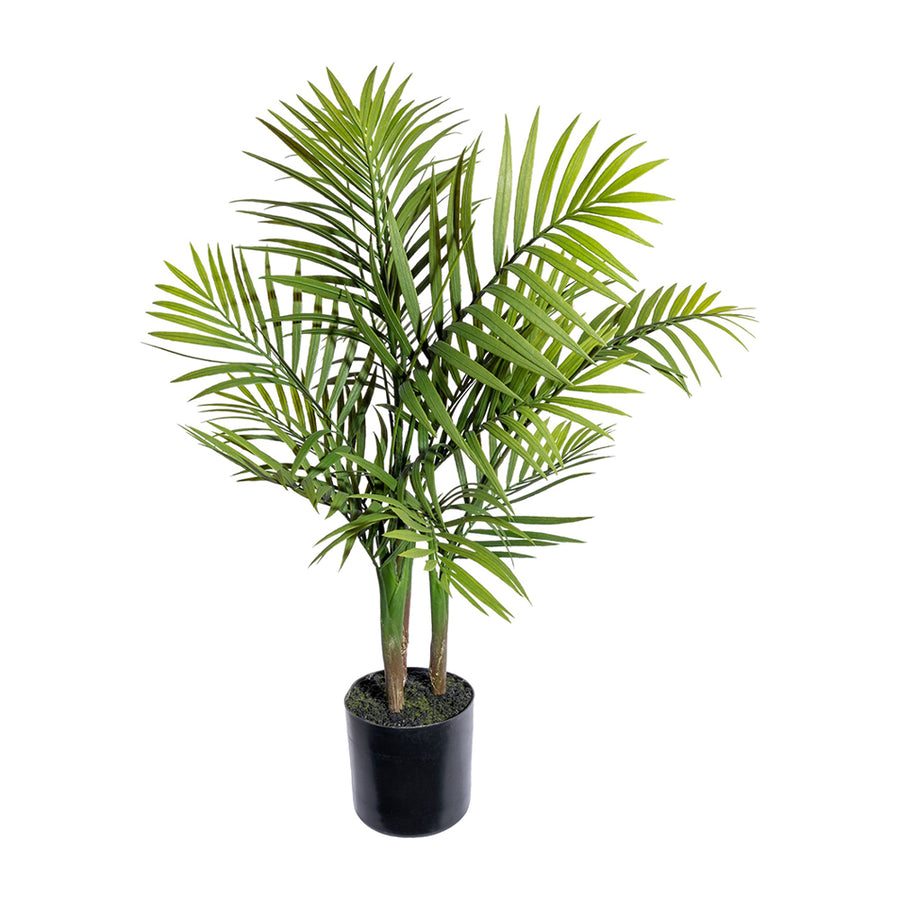 MOUNTAIN PALM zöld mű hegyipálma 65 cm fekete kaspóban.