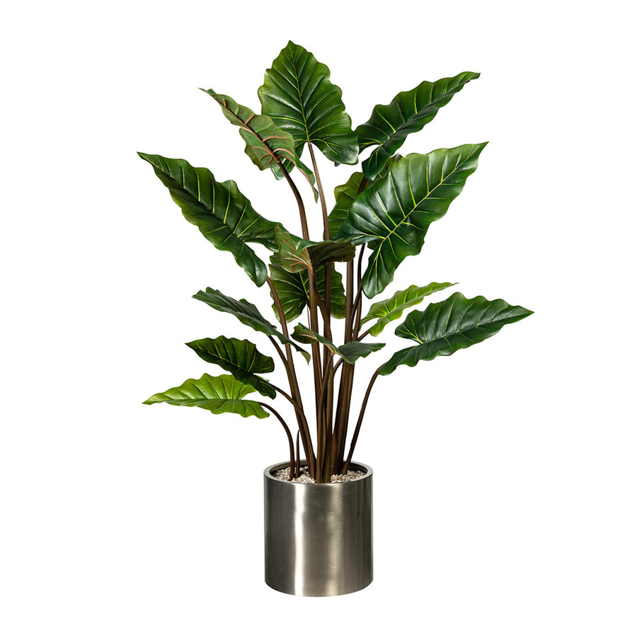 COLOCASIA mű táró növény modern fém kaspóban, sűrű levélzettel és természetes hatású szárakkal