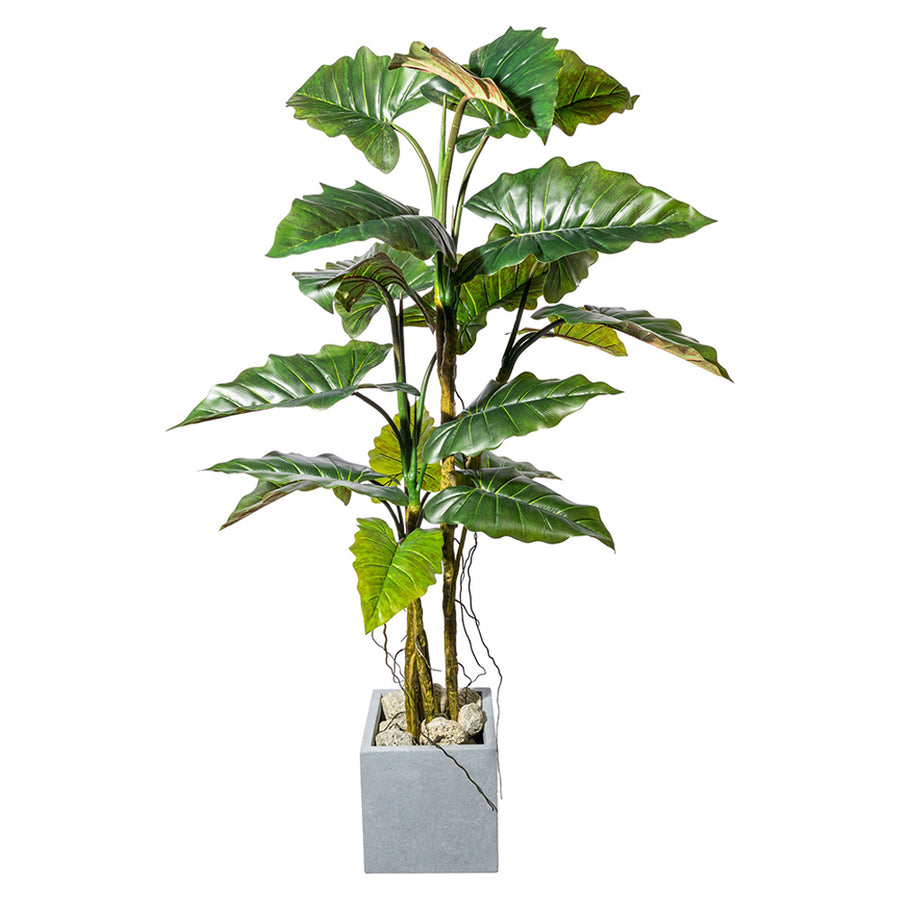 COLOCASIA műnövény szürke kaspóban, élethű trópusi levelekkel és realisztikus szárakkal