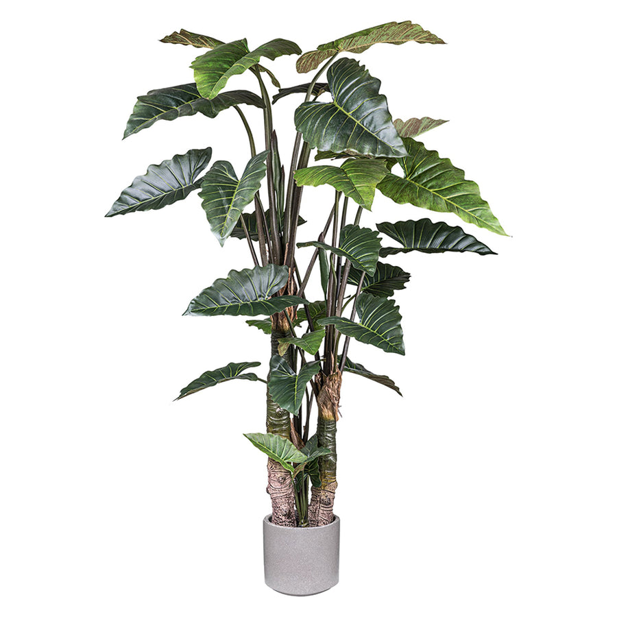 COLOCASIA óriás zöld mű táró bokor 260 cm, 27 levéllel, cement kaspóban, élethű részletekkel
