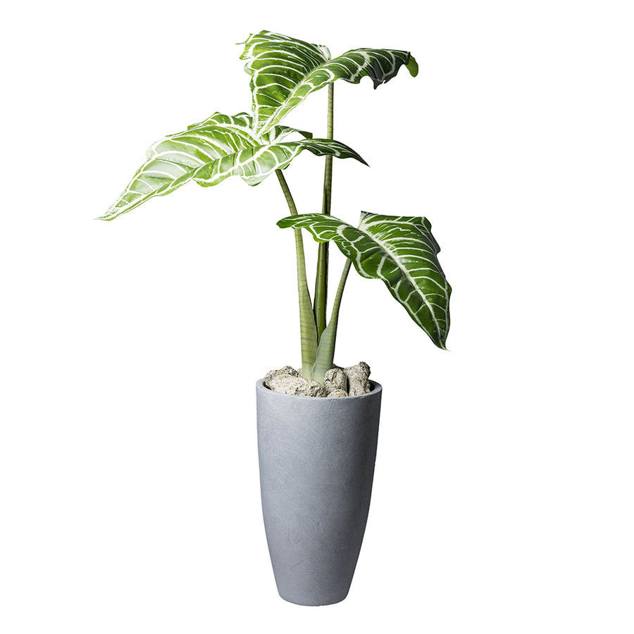 COLOCASIA mű kolokázia növény modern szürke kaspóban, élethű trópusi hatású levelekkel