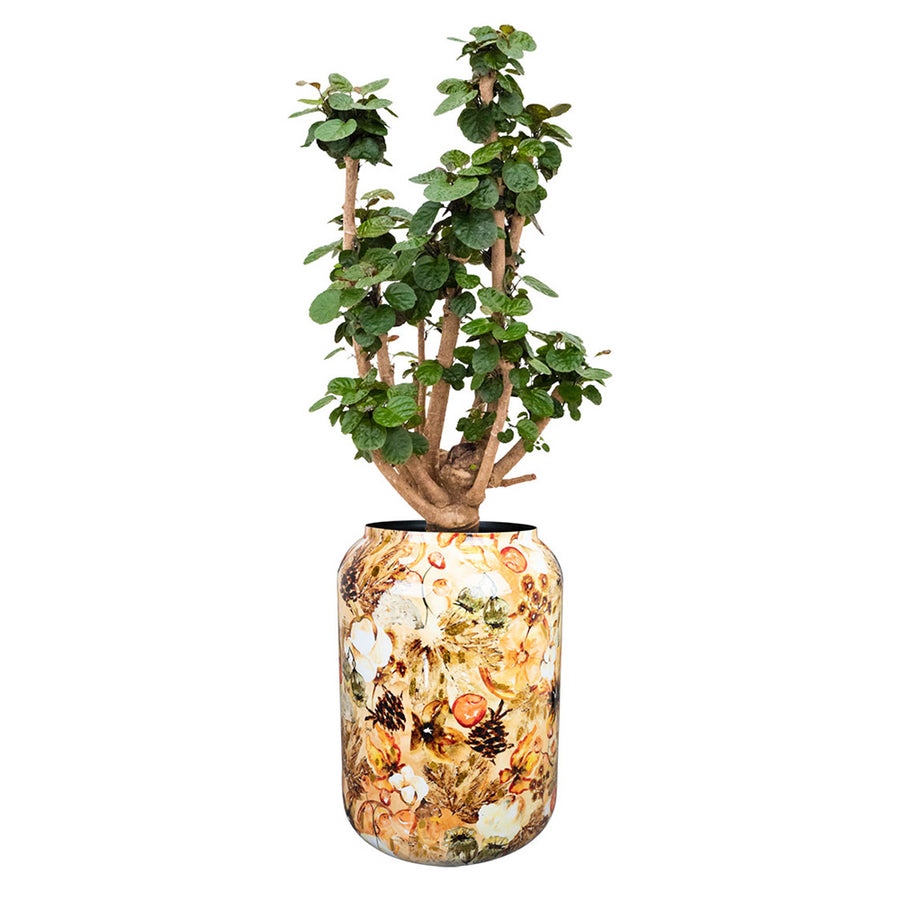 Kézműves fém dizájn kaspó.