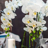 Cserepes mű orchidea 55 cm fehér "Orchid"