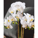 Fehér színű mű orchidea, ezüst színű kerámia kaspóban.