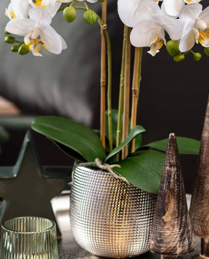 Fehér színű mű orchidea, ezüst színű kerámia kaspóban.