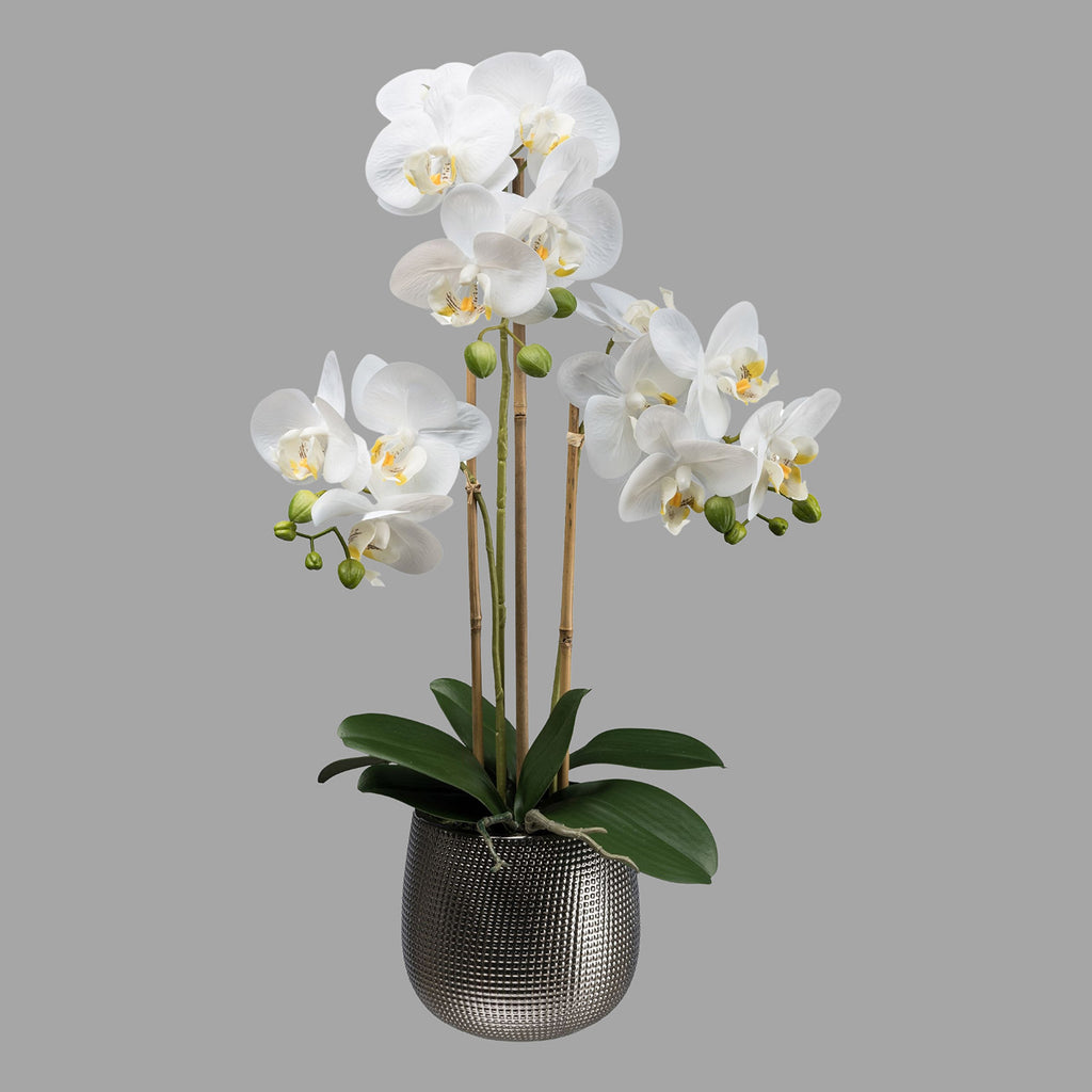Fehér színű mű orchidea, ezüst színű kerámia kaspóban.