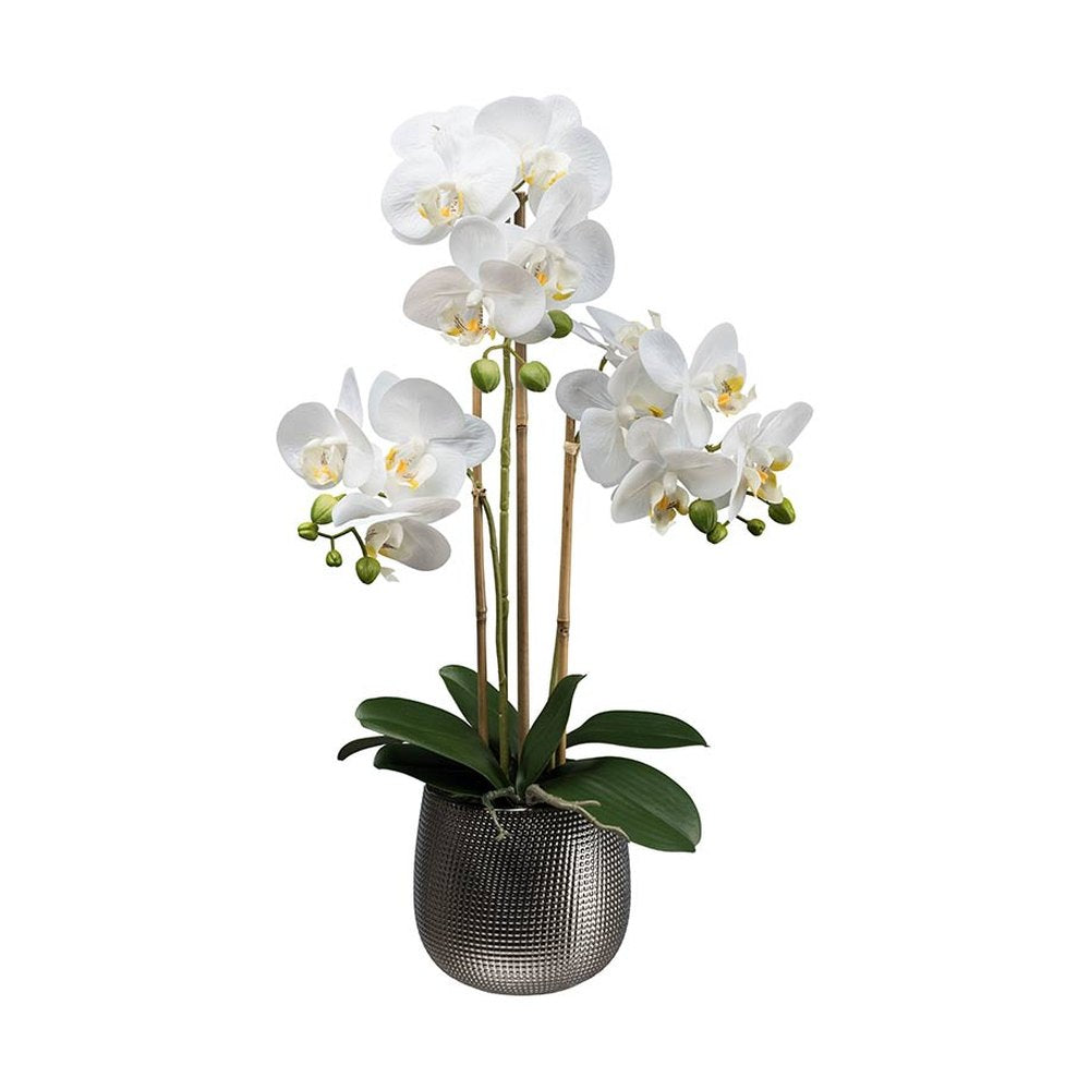 Fehér színű mű orchidea, ezüst színű kerámia kaspóban.