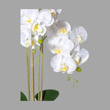 Fehér színű mű orchidea, rusztikus terrakotta kaspóban.