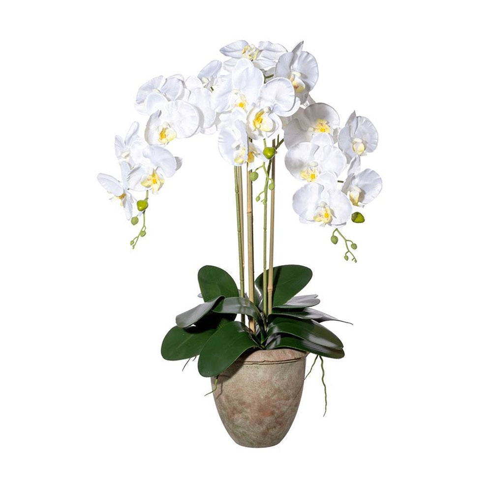 Fehér színű mű orchidea, rusztikus terrakotta kaspóban.