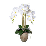 Fehér színű mű orchidea, rusztikus terrakotta kaspóban.