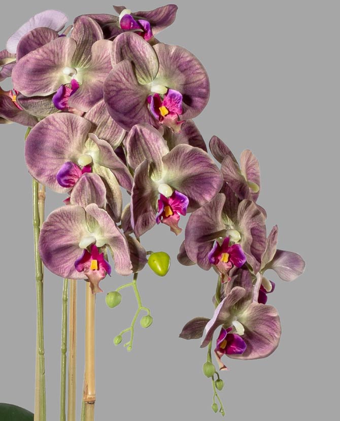 Lila színű mű orchidea, rusztikus terrakotta kaspóban.