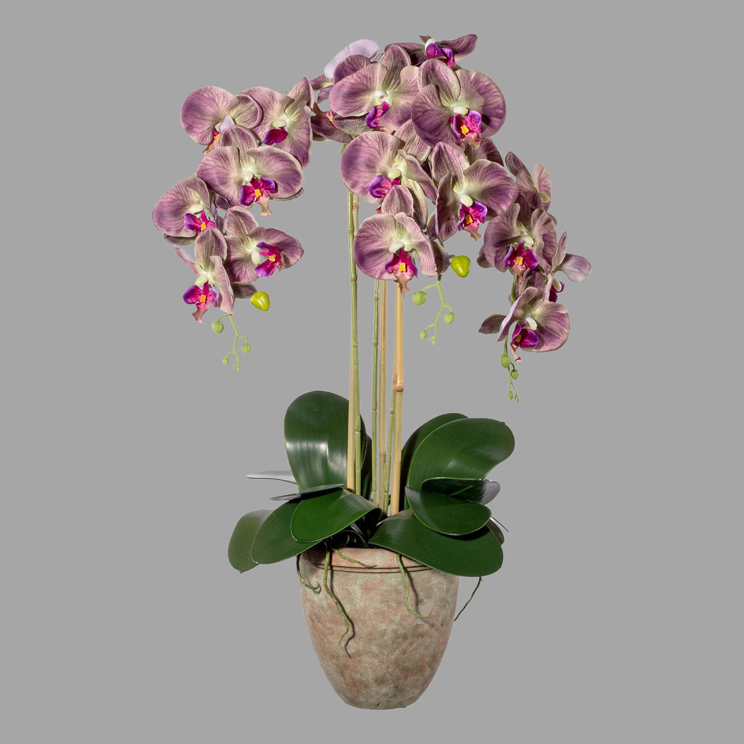 Lila színű mű orchidea, rusztikus terrakotta kaspóban.