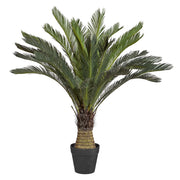 CYCAS REVOLUTA óriás zöld mű cikász pálma 130 cm fekete műanyag cserépben – Arecaceae kollekció