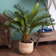 Élethű japán cikász pálma zöld levelekkel nappali dekorációban