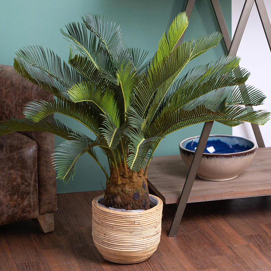 Élethű japán cikász pálma zöld levelekkel nappali dekorációban
