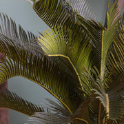 Mű cikász pálma leveleinek részletgazdag közelképe