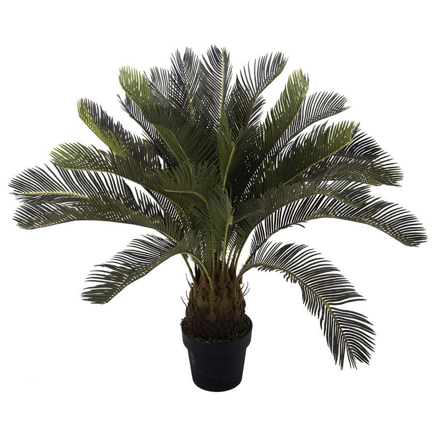 93 cm magas mű cikász pálma fekete kaspóban, trópusi stílusban