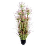 CYPERUS mű ciprusfű bokor 125 cm fekete kaspóban