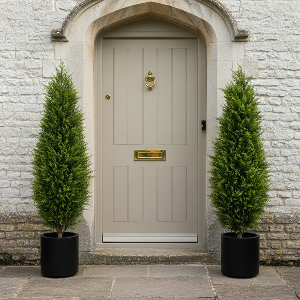 120 cm magas mű ciprus párban elhelyezve bejáratnál, elegáns szimmetrikus megjelenés