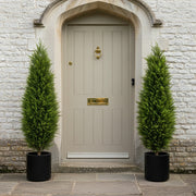 120 cm magas mű ciprus párban elhelyezve bejáratnál, elegáns szimmetrikus megjelenés