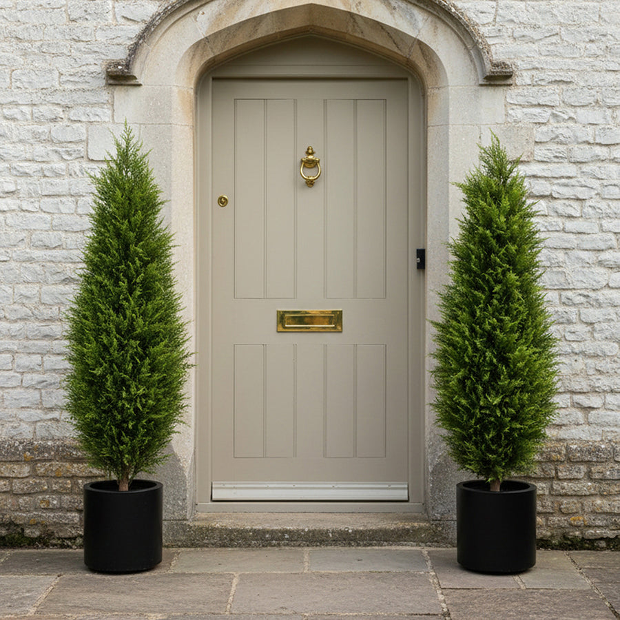 120 cm magas mű ciprus párban elhelyezve bejáratnál, elegáns szimmetrikus megjelenés
