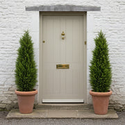 CYPRESS mű ciprus párban elhelyezve bejárati ajtó mellett terrakotta kaspóban