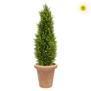 UV-álló zöld mű ciprus terrakotta kaspóban 150 cm fehér háttér előtt