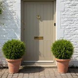 Gömb formájú mű ciprus párban elhelyezve ajtó előtt, szimmetrikus bejárati dísz