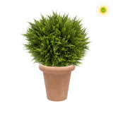 UV-álló mű gömb ciprus terrakotta kaspóban 60 cm, élethű zöld dekor növény