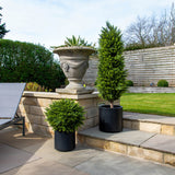 Mű gömb ciprus modern fekete kaspóban teraszon, stílusos kültéri dekoráció