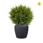 UV-álló mű gömb ciprus fekete kaspóban 60 cm, modern zöld dekor növény