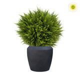 UV-álló mű gömb ciprus fekete kaspóban 60 cm, modern zöld dekor növény