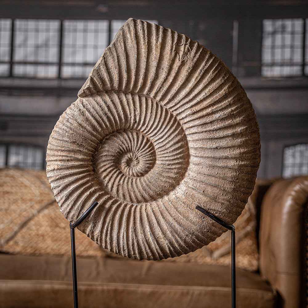 Ammonidea csiga dekoráció bézs 59 cm