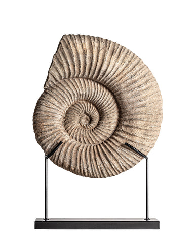 Ammonidea csiga dekoráció bézs 59 cm