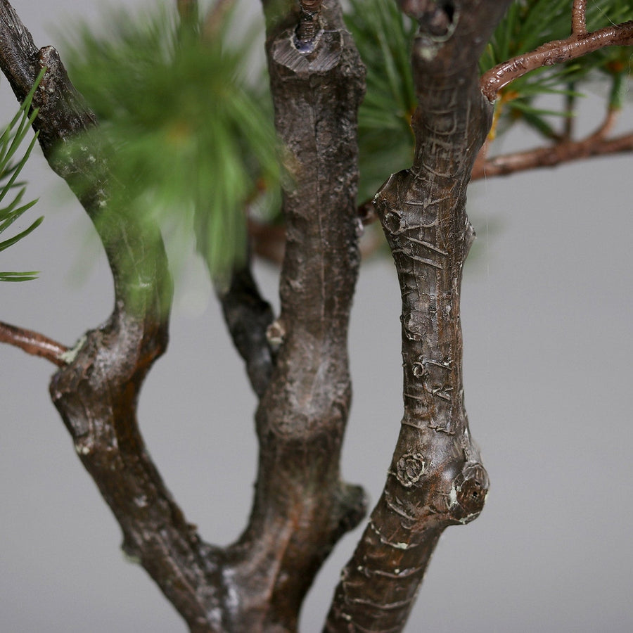 Jutazsákba helyezett dekorációs műfenyő.