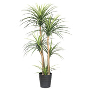 DRACAENA zöld mű sárkányfa 160 cm magas, fekete cserépben, több ággal és élethű levelekkel.