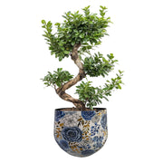 3 darabos, kék színű, fém design kaspó szett.