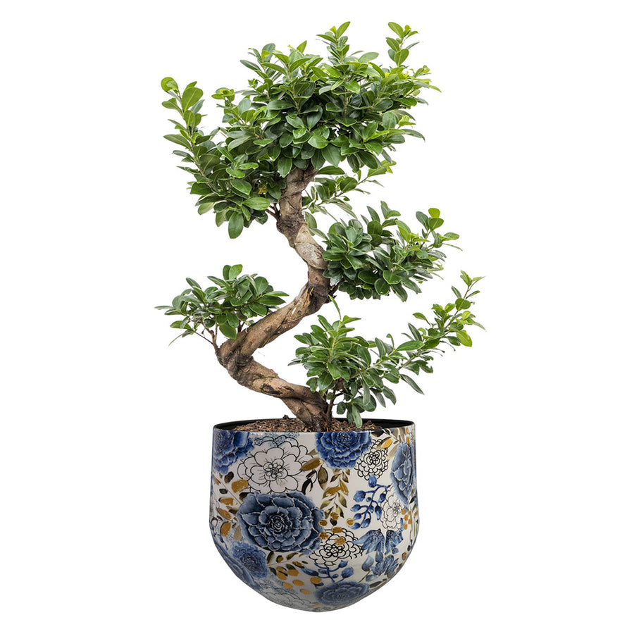 3 darabos, kék színű, fém design kaspó szett.