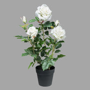 Fehér színű, élethű megjelenésű, mű rózsabokor, fekete műanyag cserépben.