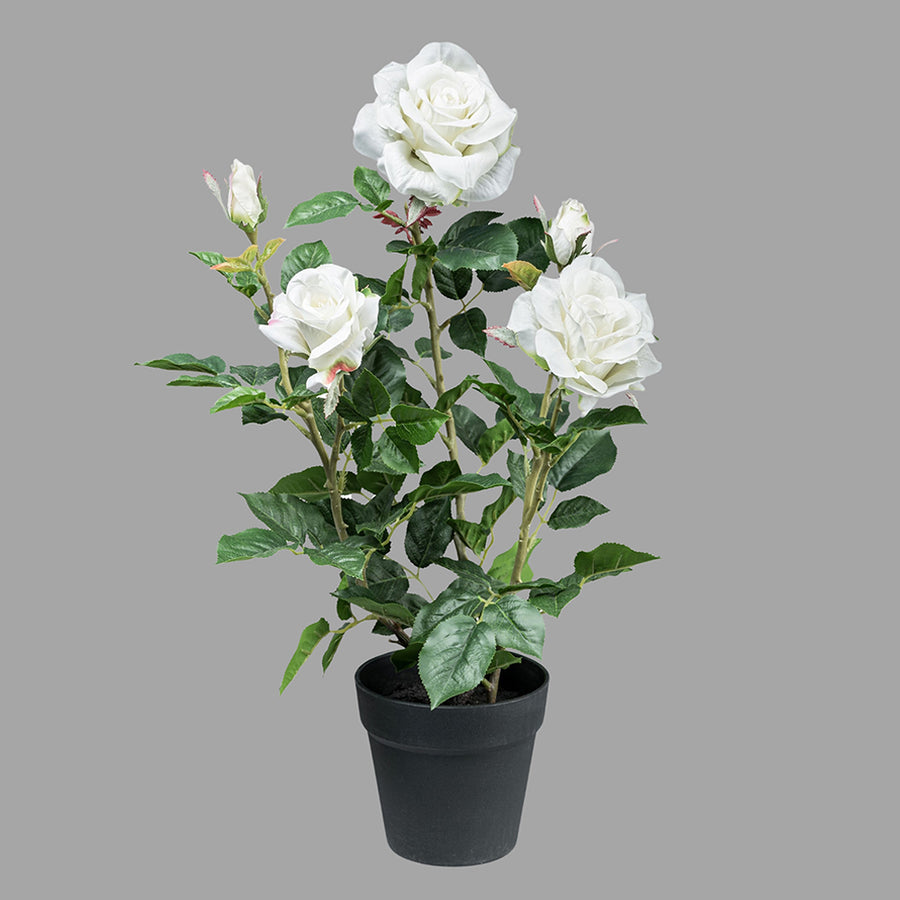 Fehér színű, élethű megjelenésű, mű rózsabokor, fekete műanyag cserépben.