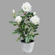 Fehér színű, élethű megjelenésű, mű rózsabokor, fekete műanyag cserépben.