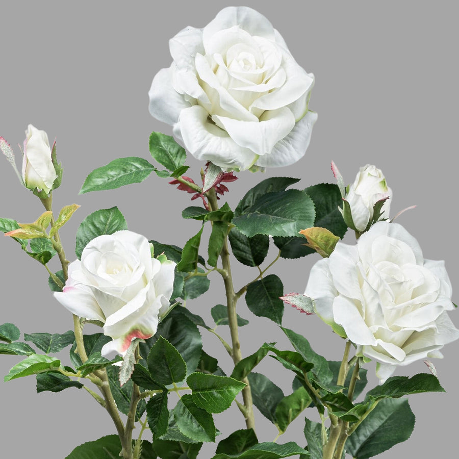 Fehér színű, élethű megjelenésű, mű rózsabokor, fekete műanyag cserépben.