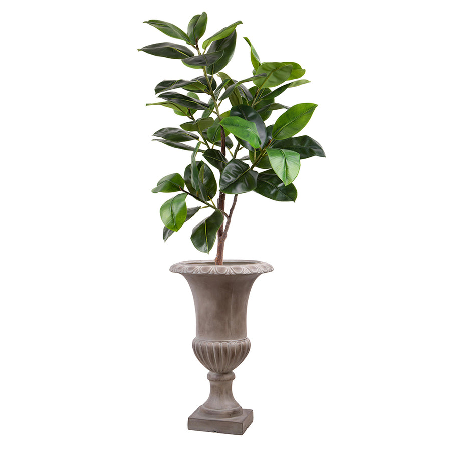 England kaspó növénnyel, elegáns beltéri vagy fedett kültéri elrendezésben